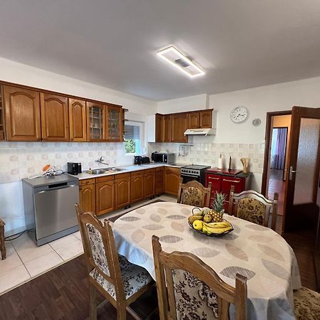 Apartment Lucija "Pet Friendly" 茨里克韦尼察 外观 照片