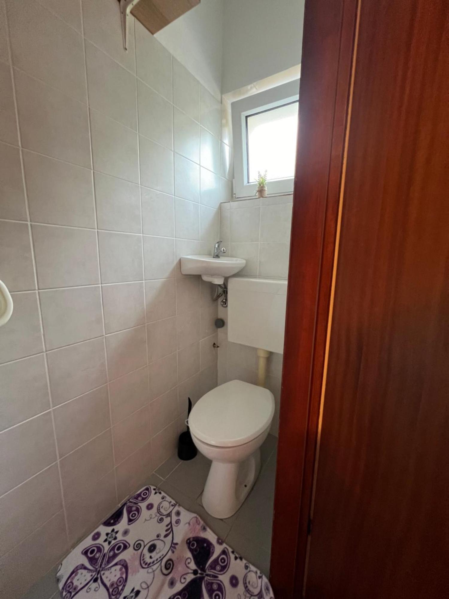 Apartment Lucija "Pet Friendly" 茨里克韦尼察 外观 照片